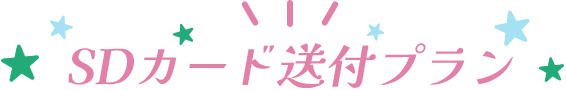 SDカード送付プラン